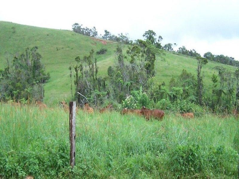 Millaa Millaa QLD 4886