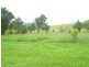 Millaa Millaa QLD 4886