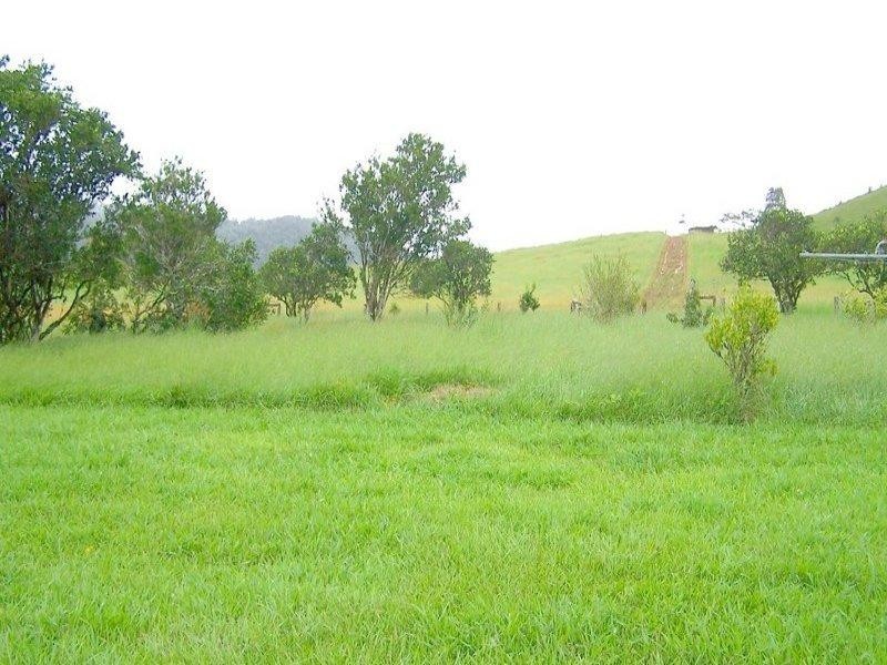 Millaa Millaa QLD 4886