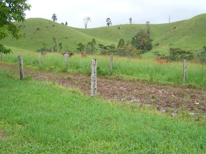 Millaa Millaa QLD 4886