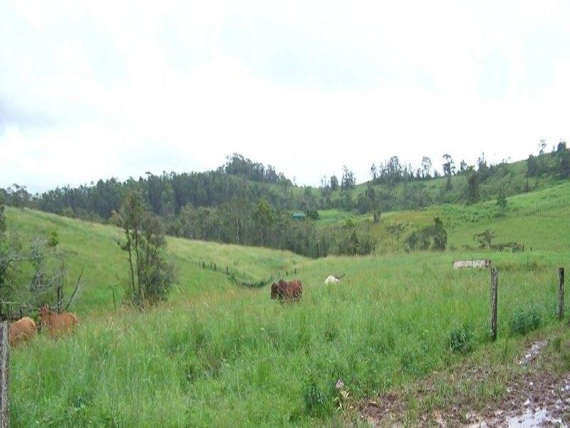 Millaa Millaa QLD 4886