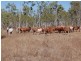 Mareeba QLD 4880