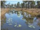 Innot Hot Springs QLD 4872
