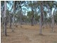 Innot Hot Springs QLD 4872