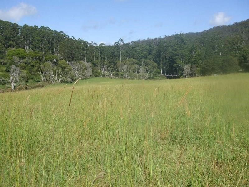 Ravenshoe QLD 4888