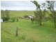 Tarzali QLD 4885
