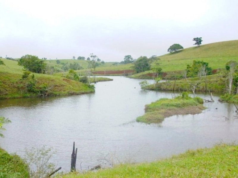 Tarzali QLD 4885