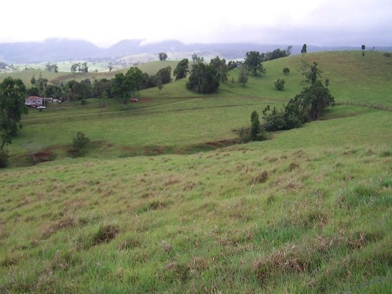 Tarzali QLD 4885