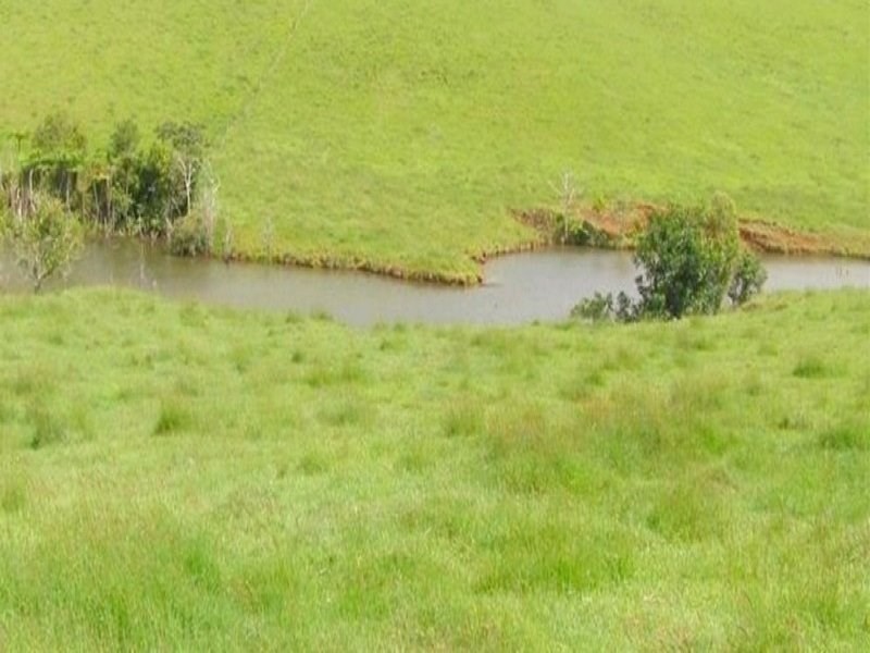 Tarzali QLD 4885