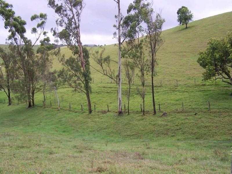 Tarzali QLD 4885