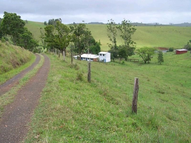 Tarzali QLD 4885