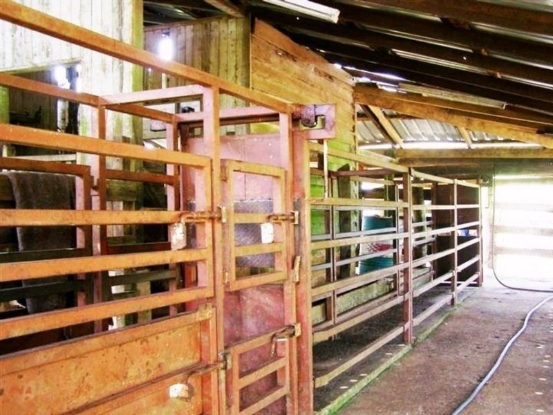 Tarzali QLD 4885