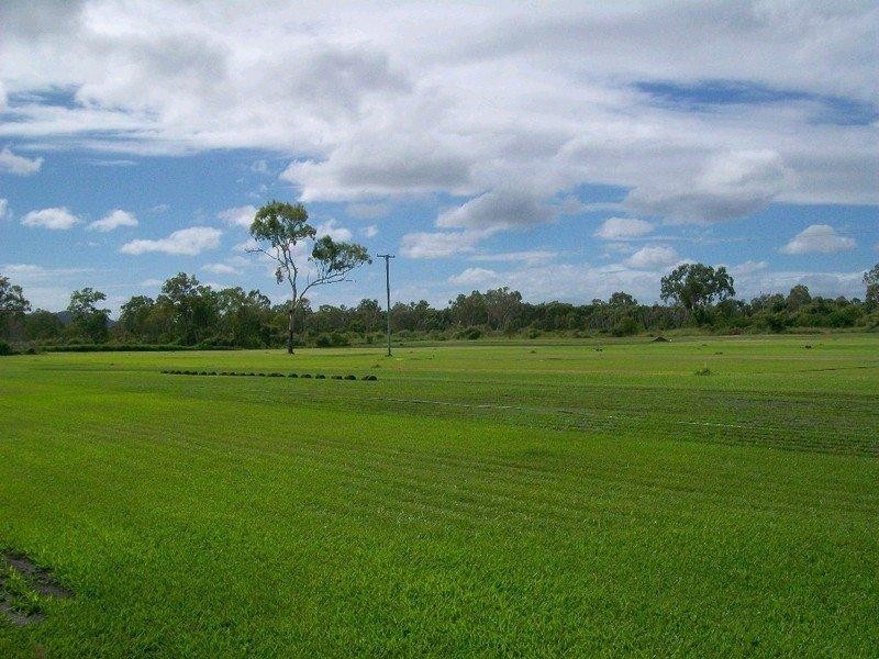 Bohle Plains QLD 4817