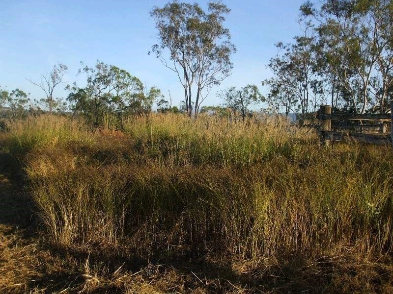 Mareeba QLD 4880