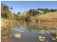 Millaa Millaa QLD 4886