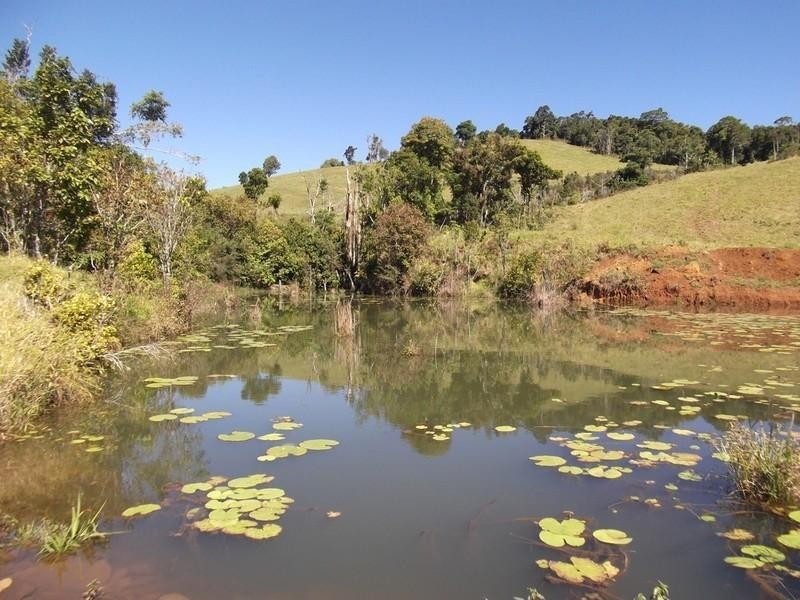 Millaa Millaa QLD 4886