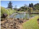Millaa Millaa QLD 4886