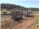 Millaa Millaa QLD 4886