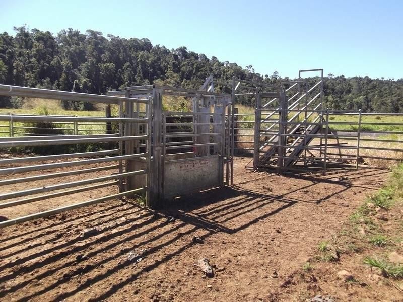 Millaa Millaa QLD 4886