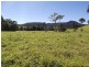 Millaa Millaa QLD 4886