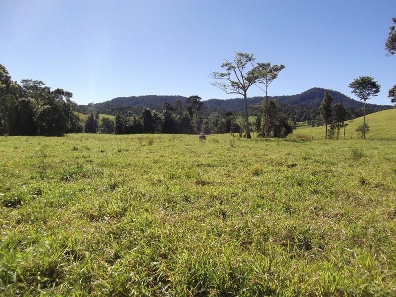 Millaa Millaa QLD 4886