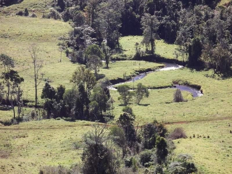 Millaa Millaa QLD 4886