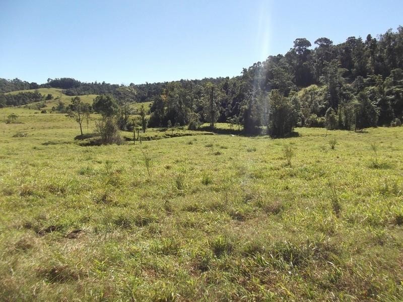 Millaa Millaa QLD 4886