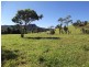 Millaa Millaa QLD 4886