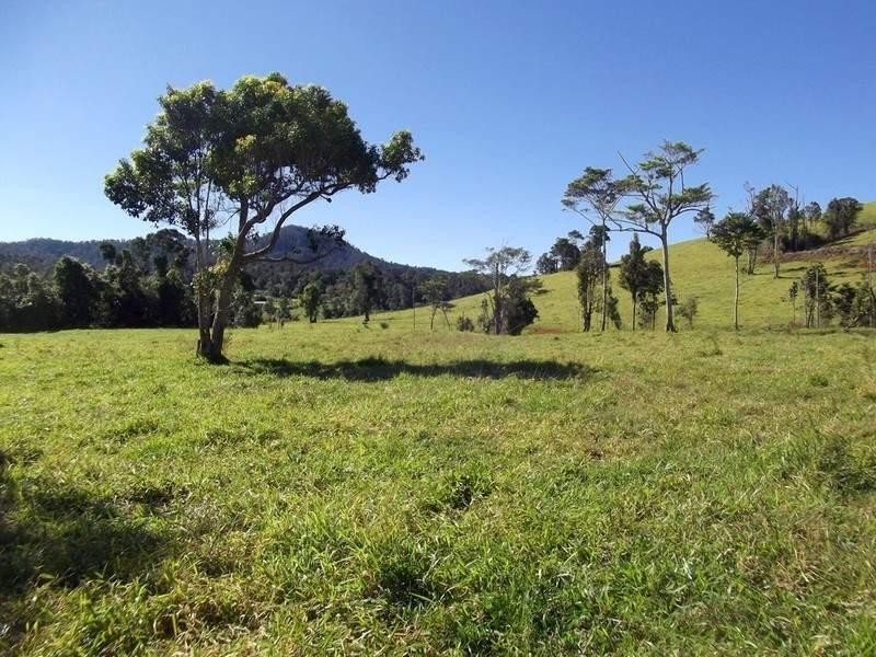 Millaa Millaa QLD 4886