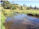 Millaa Millaa QLD 4886