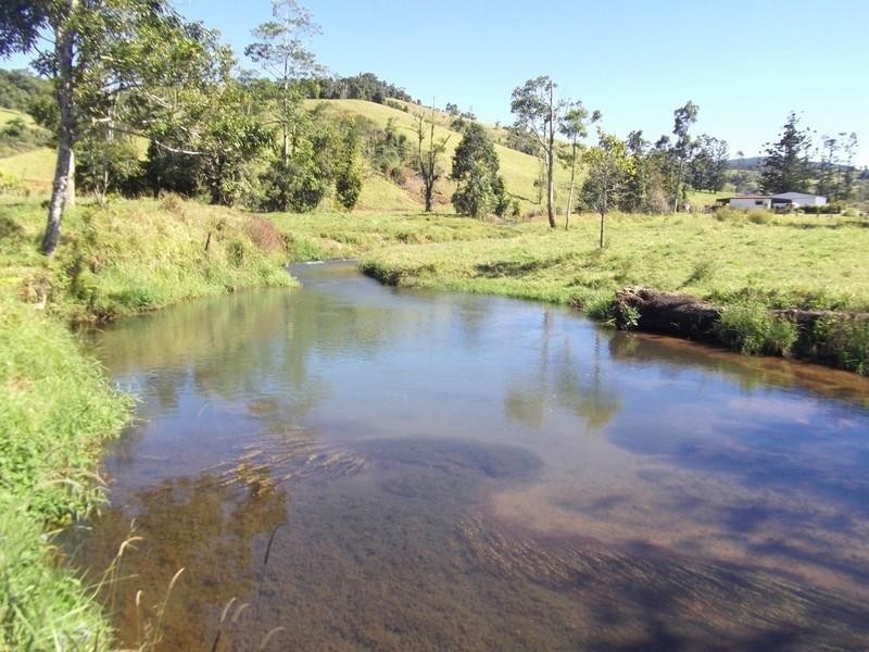 Millaa Millaa QLD 4886