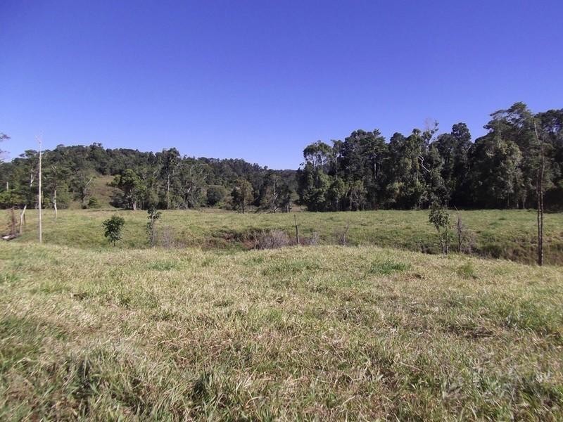 Millaa Millaa QLD 4886