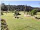 Millaa Millaa QLD 4886