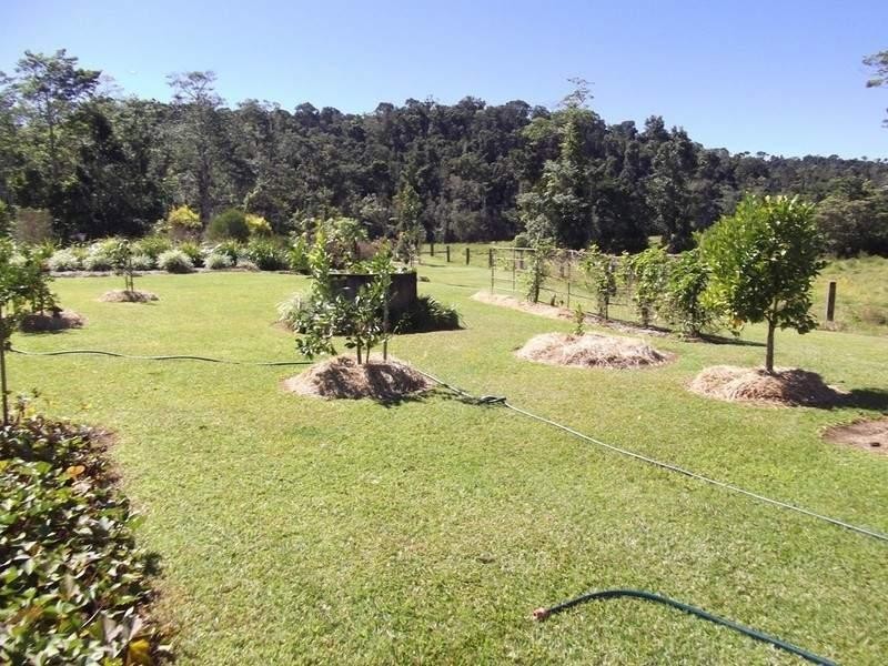 Millaa Millaa QLD 4886