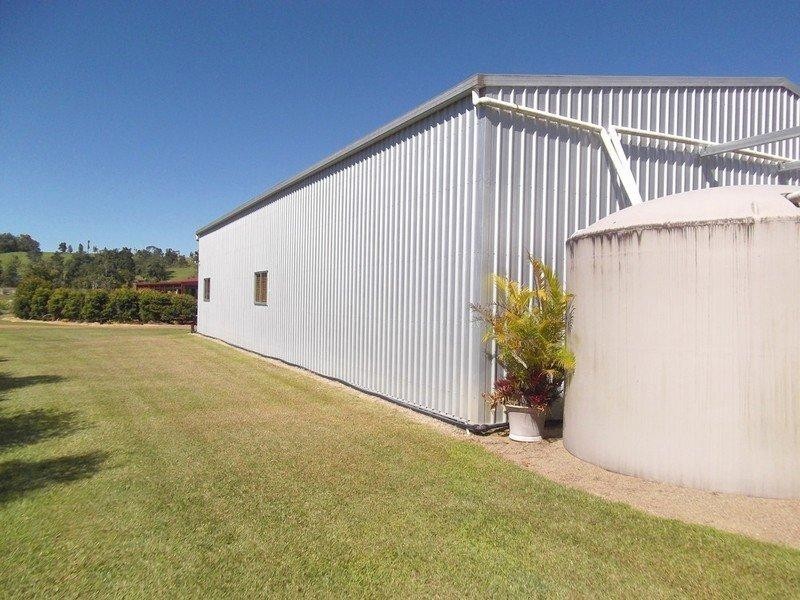 Millaa Millaa QLD 4886