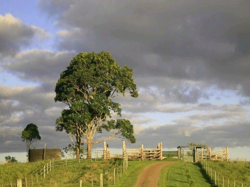 Topaz QLD 4885