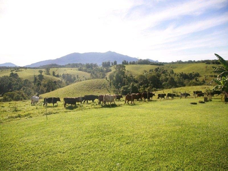 Topaz QLD 4885