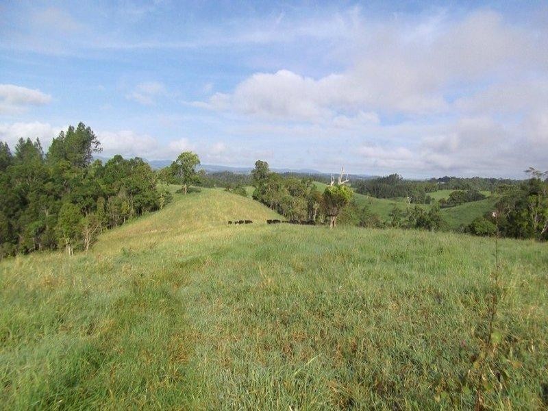 Topaz QLD 4885