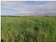 Topaz QLD 4885