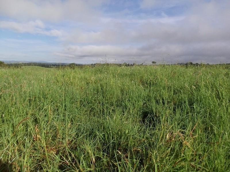 Topaz QLD 4885