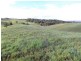 Topaz QLD 4885