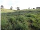 Topaz QLD 4885