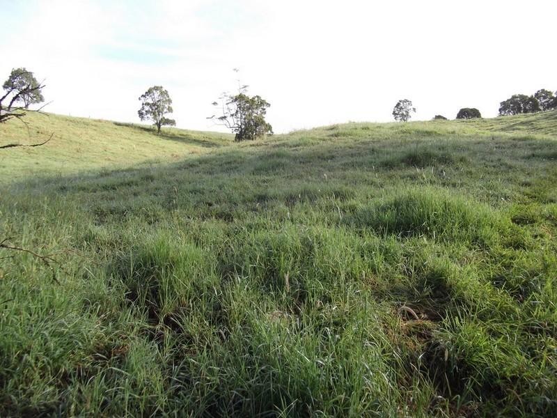 Topaz QLD 4885