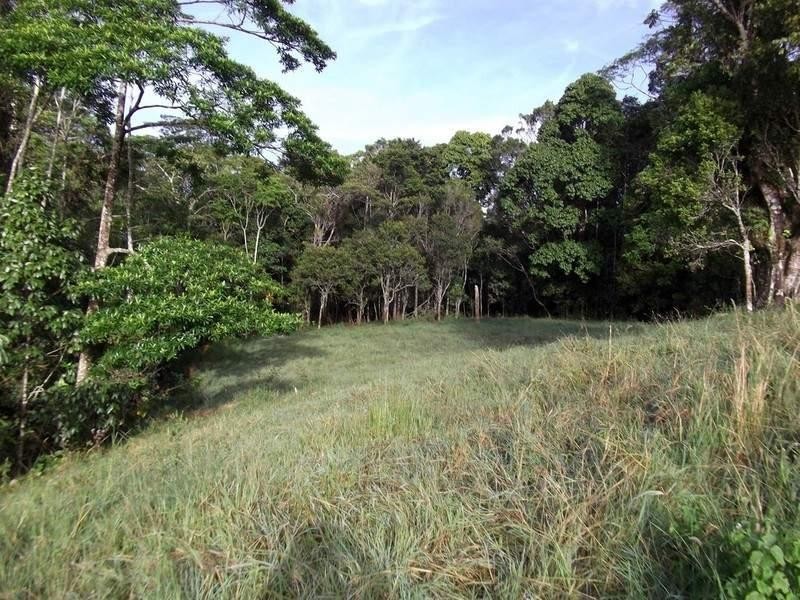 Topaz QLD 4885