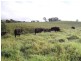 Topaz QLD 4885