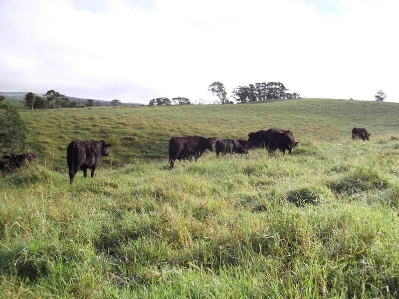 Topaz QLD 4885