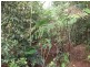 Topaz QLD 4885