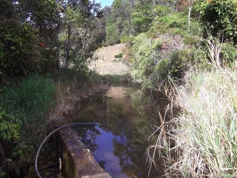 Lake Eacham QLD 4884