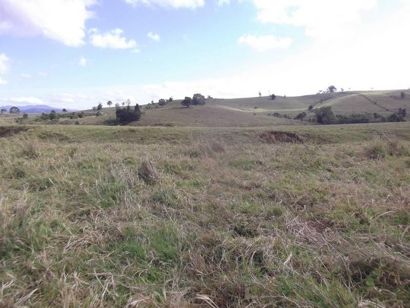 Lake Eacham QLD 4884