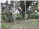 Lake Eacham QLD 4884